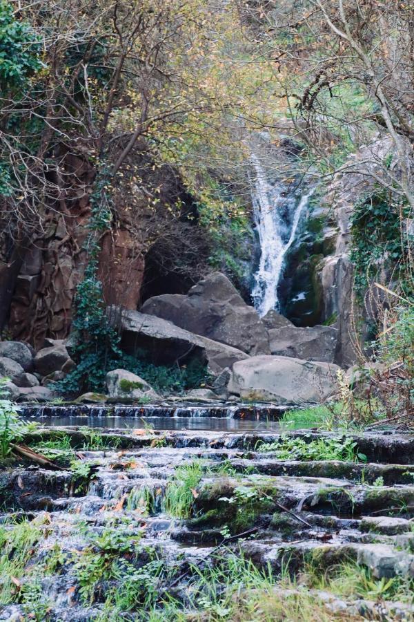 فيلا Montelavarفي Ancos Little House -Sintra Countryside- المظهر الخارجي الصورة